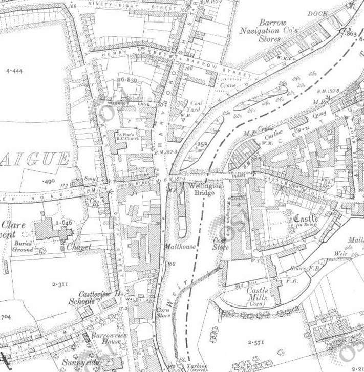 Carlow Historic Map
