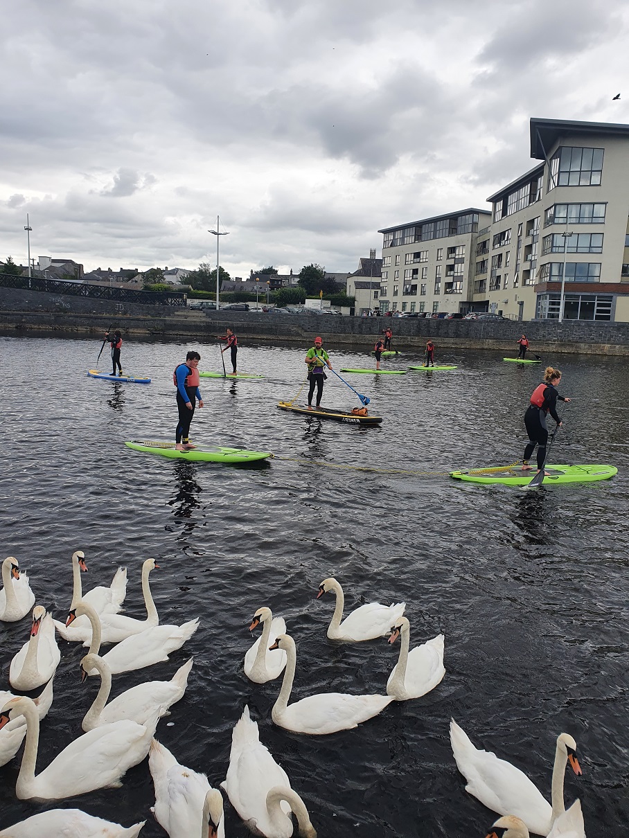 Young people on paddle boards beside swans